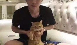 王源吃娱乐圈瓜,娱乐圈瓜中的人生百态